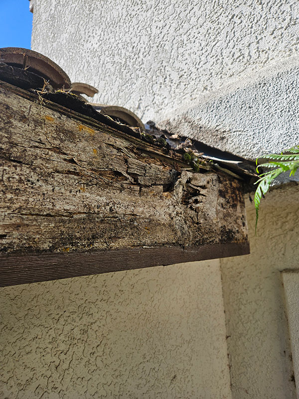 Before Dry Rot Repair in Sacramento